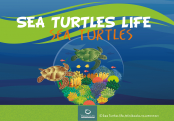 Sea Turtles life, English version